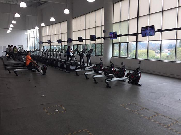 Maquinas de ejercicios gimnasio en Valdivia