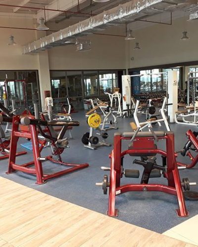 maquinas de gimnasio sportlife talca