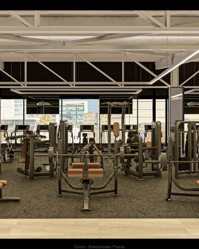 Maquinas de ejercicio gimnasio en Viña del Mar