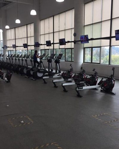 Maquinas de ejercicios gimnasio en Valdivia